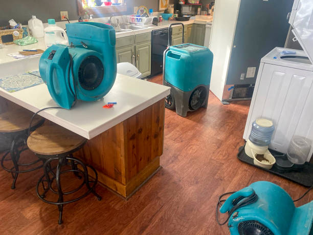 Best Professional water damage repair  in Monticello, KY