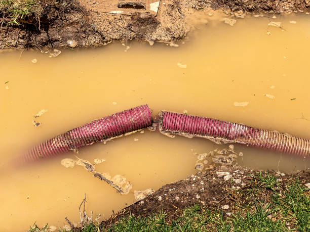 Best Water damage restoration insurance claims  in Monticello, KY