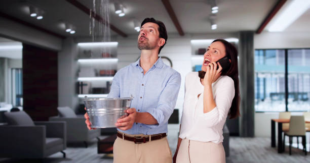 Best Flooded house restoration  in Monticello, KY